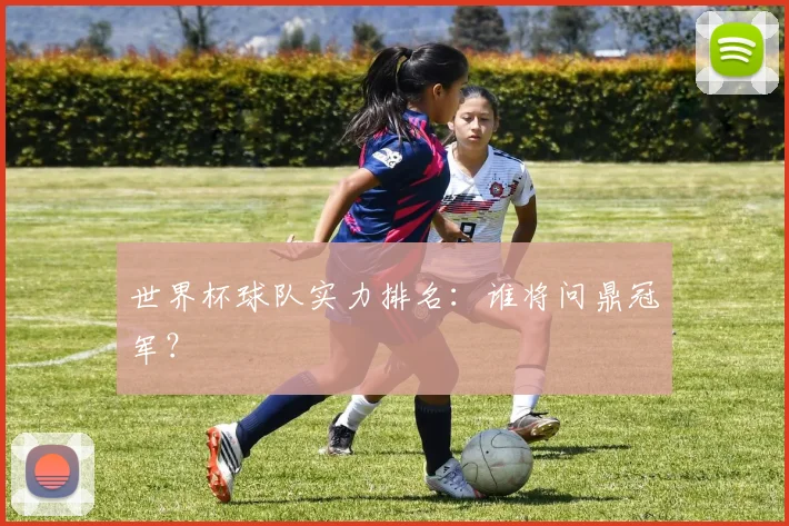 世界杯球队实力排名：谁将问鼎冠军？